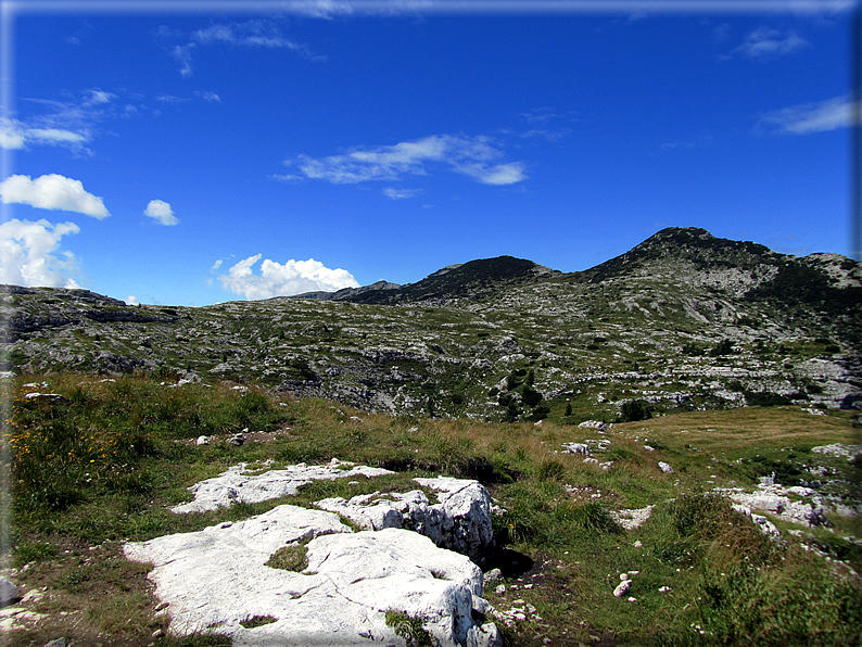 foto Percorso ad anello Caldiera,Ortigara,Lozze